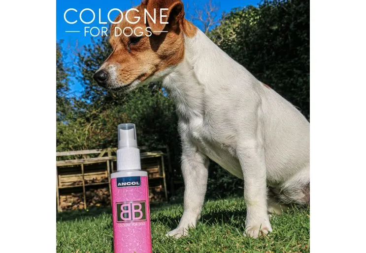 Ancol - New Baby Cologne - 100ml