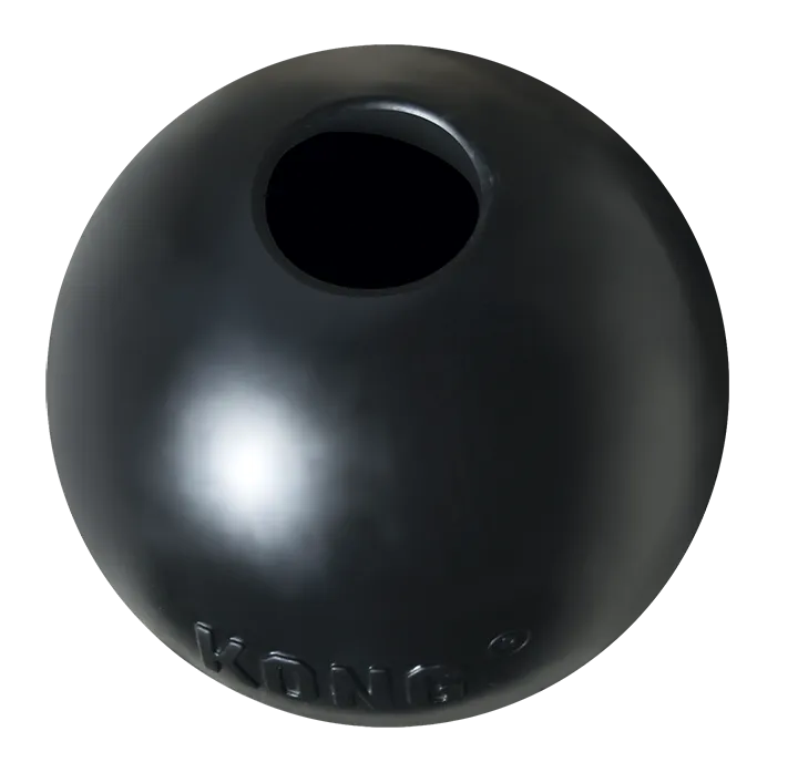 Kong Extreme Ball Dog Toy