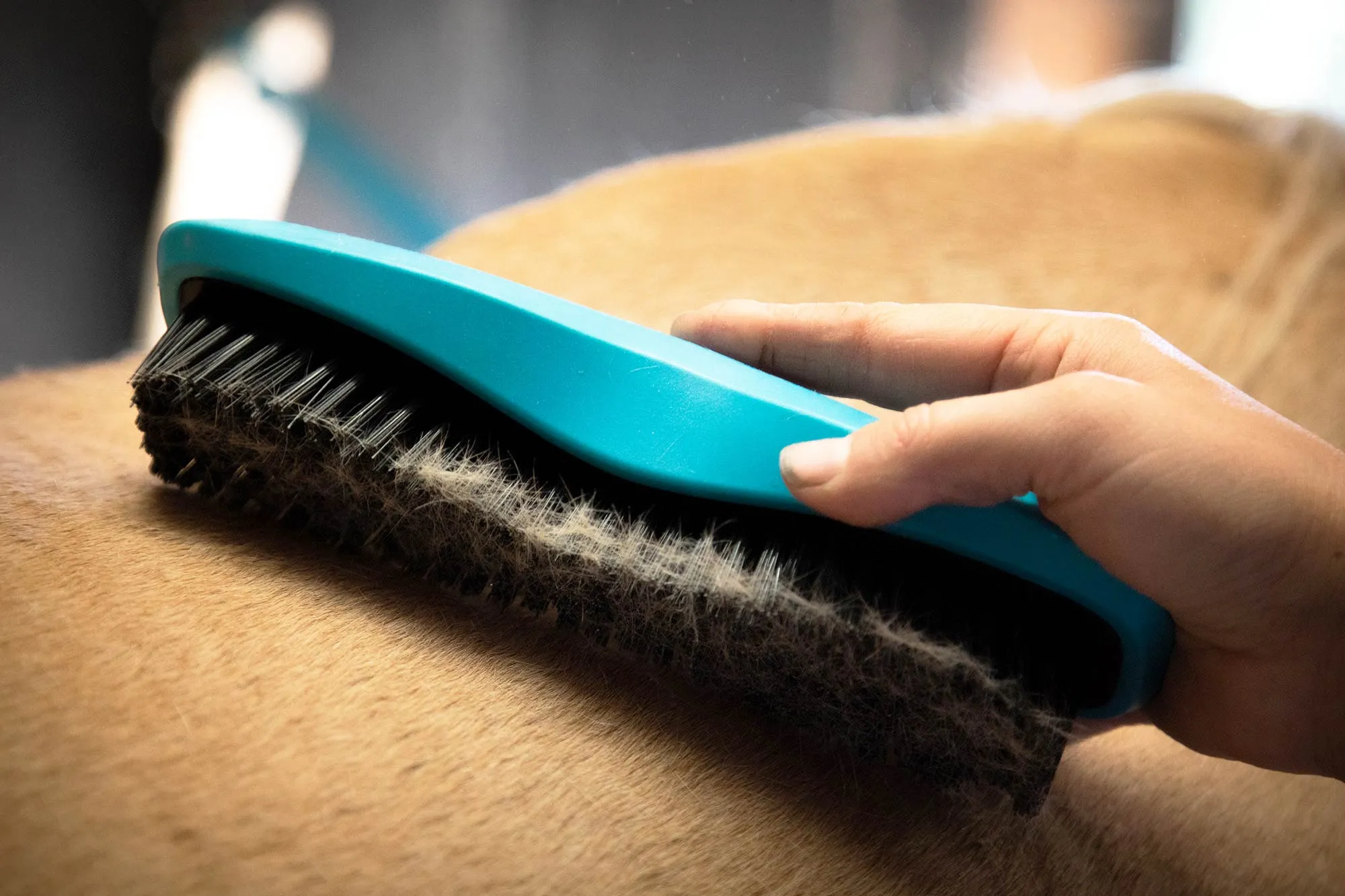Wahl Stiff Body Brush